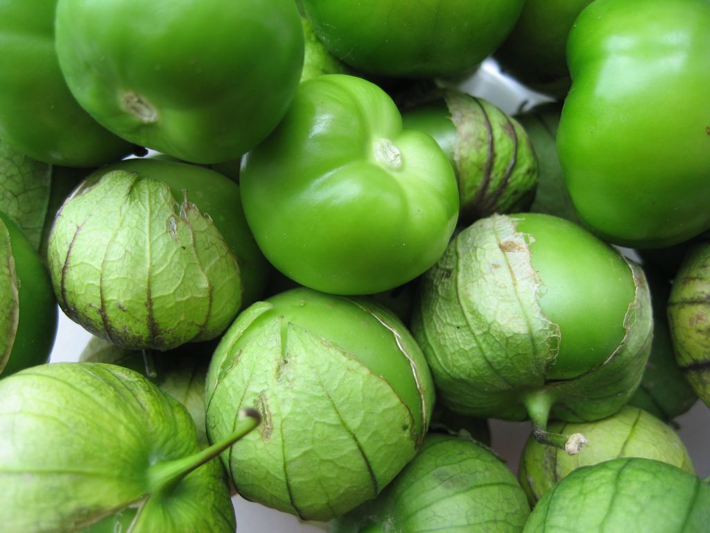 Evalúan El Tomate Verde Para Obtener Pectinas Federación Mexicana De
