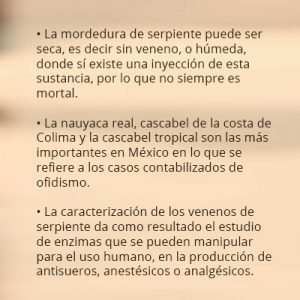veneno-serpientes02