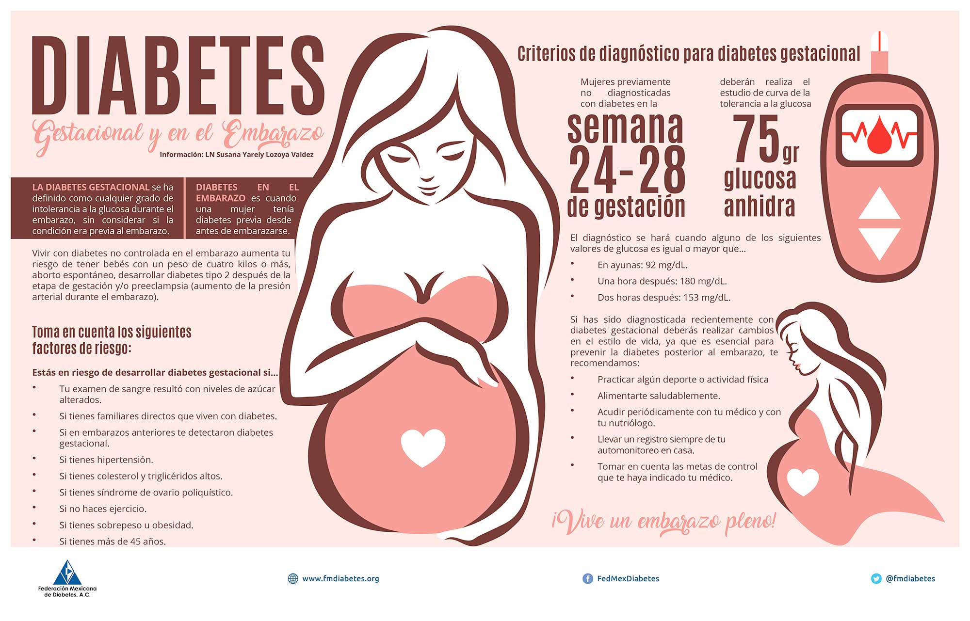 Diabetes Gestacional Y En El Embarazo Federación Mexicana De Diabetes