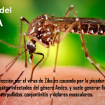 ¿Qué es el virus del Zika?