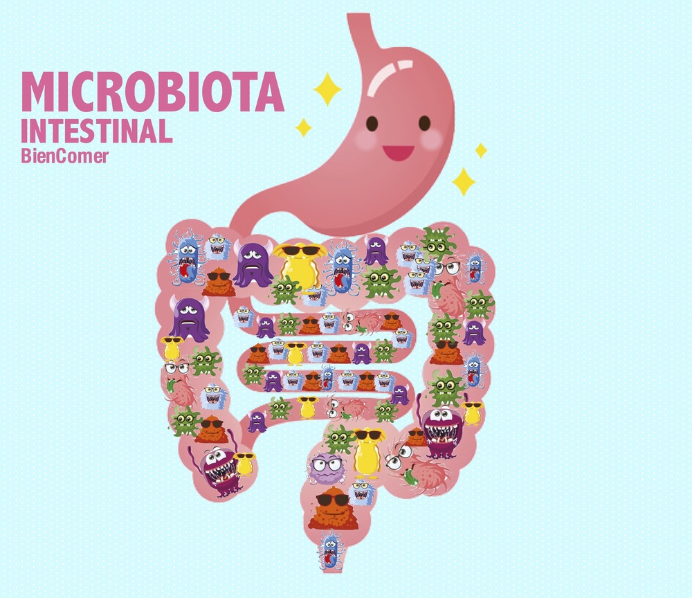 Seis Curiosidades Acerca De La Microbiota Intestinal Que Tú Y Tu
