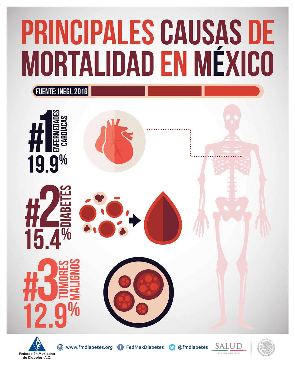 Principales causas de mortalidad en México Principales causas de mortalidad en México