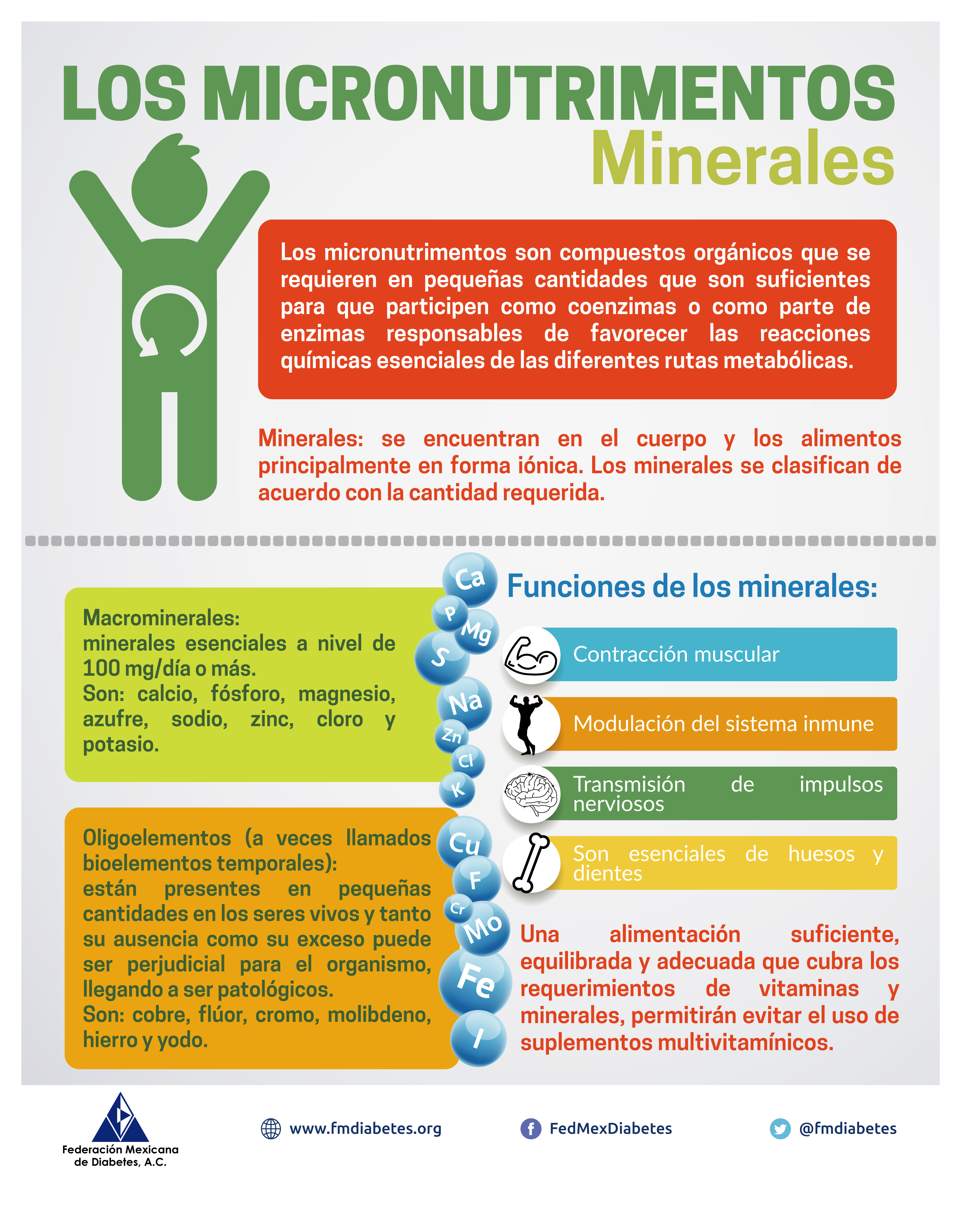 Micronutrimentos – Minerales