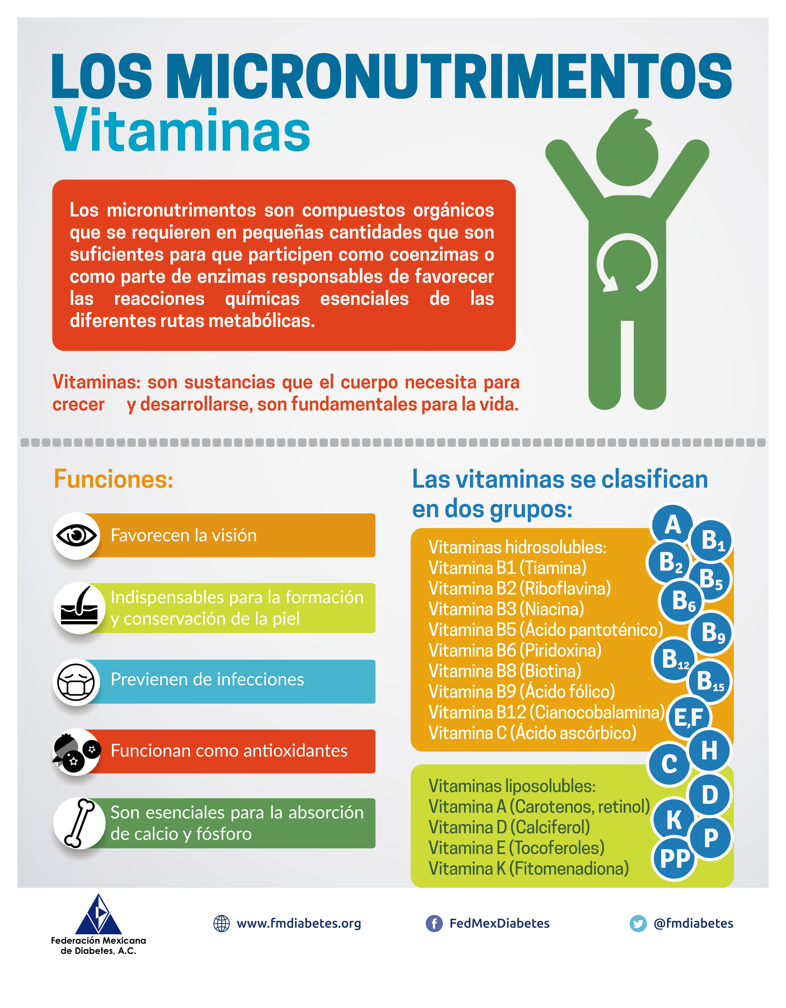 Micronutrimentos – Vitaminas