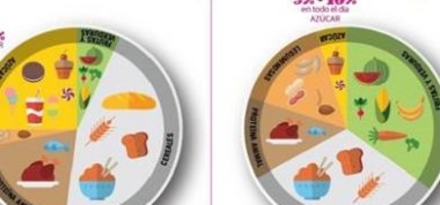 10 tips de nutrición para toda la familia