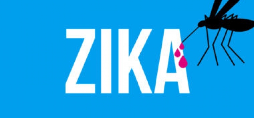 Virus del Zika, consejos para prevenir su contagio.