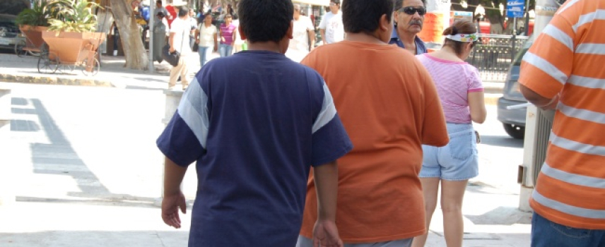 CREAN METFORMINA LÍQUIDA PARA CONTROLAR RESISTENCIA A LA INSULINA EN NIÑOS CON OBESIDAD