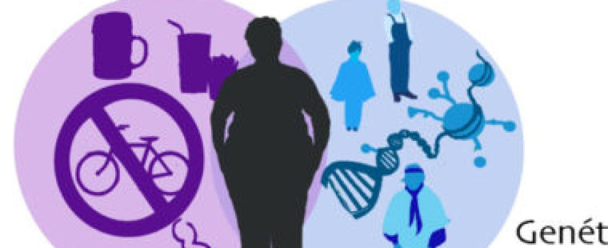 Alteraciones epigenómicas, diabetes y obesidad