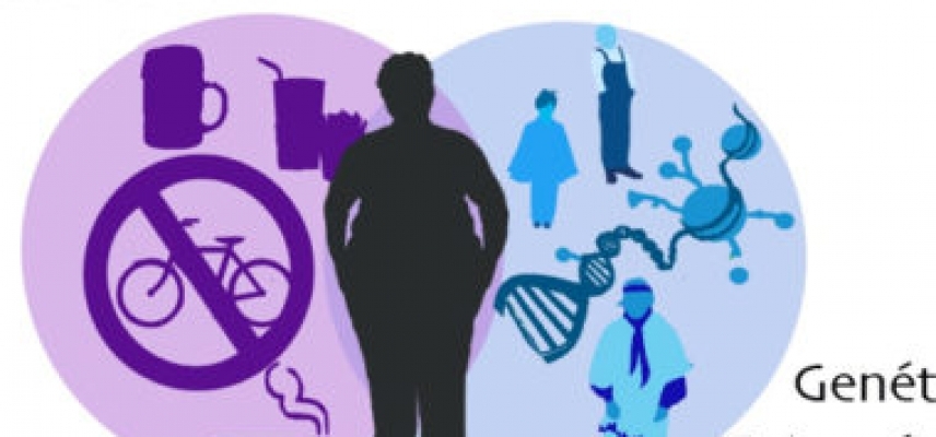 Alteraciones epigenómicas, diabetes y obesidad