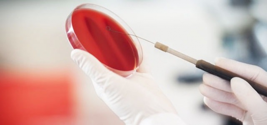 Convocatoria a investigadores en el área de bionanotecnología