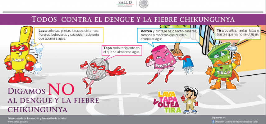 Refuerzan campaña contra el Chikungunya en Guerrero