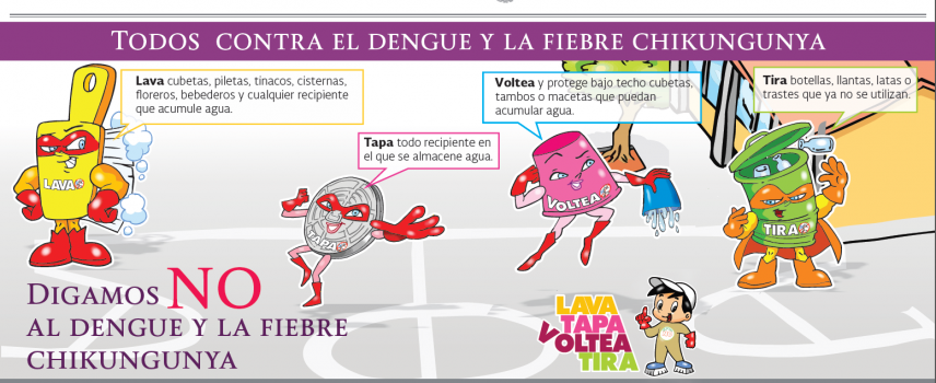 Todo sobre Chikungunya y dengue