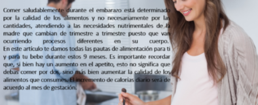 Guía de alimentación en el embarazo