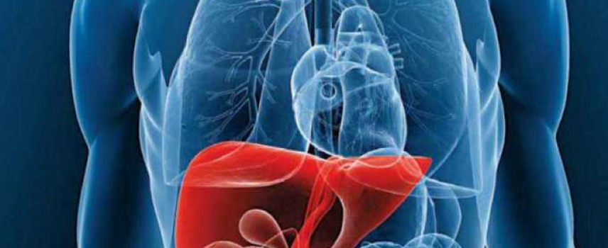 Hepatitis C y las vías de infección