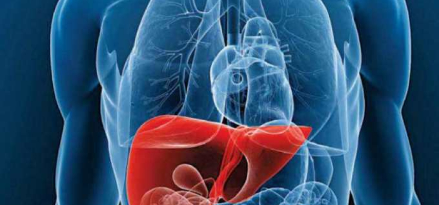 Hepatitis C y las vías de infección