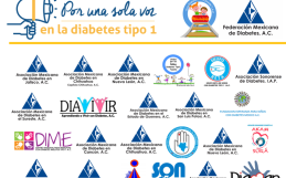 Asociaciones Civiles de Todo México Demandan Atención Integral de la Diabetes tipo1