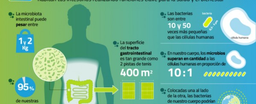 “La microbiota, esas bacterias que nos benefician”