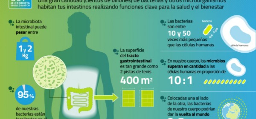 “La microbiota, esas bacterias que nos benefician”