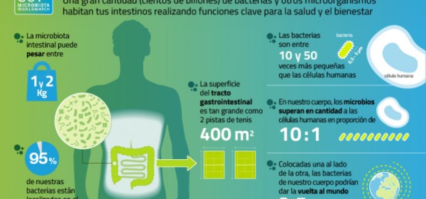 “La microbiota, esas bacterias que nos benefician”