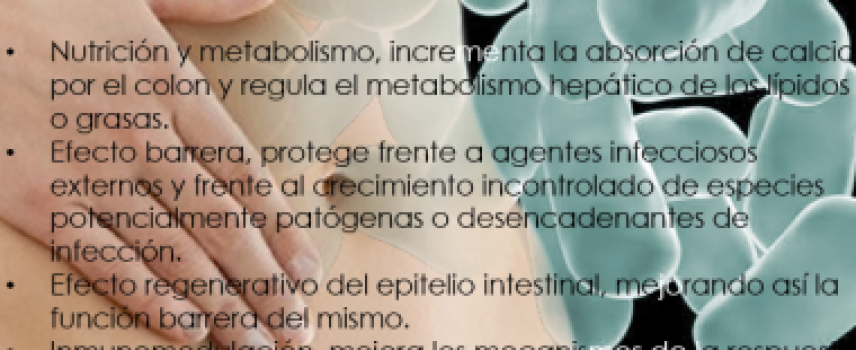 Los probióticos y el control de la diabetes