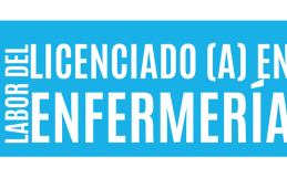 Labor del Licenciado en Enfermería