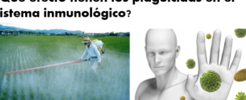 Plaguicidas y sistema inmunológico