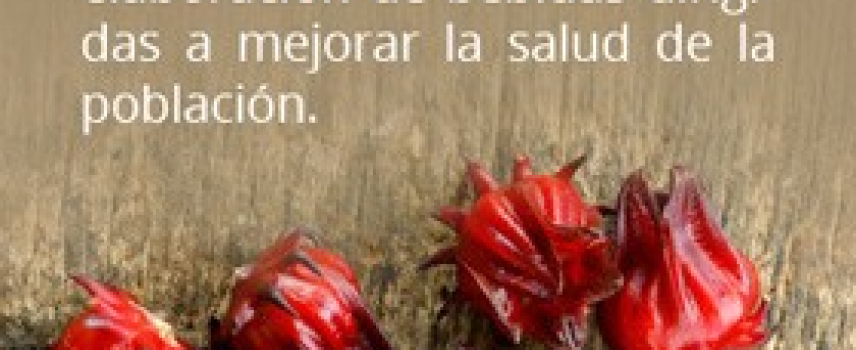 Plantas tradicionales mexicanas que benefician a la salud