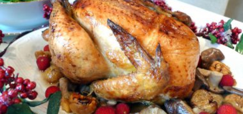 POLLO INVIERNO