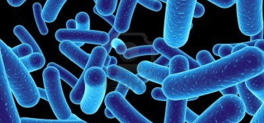 Prueban bacterias para detectar diabetes y cáncer a través de la orina