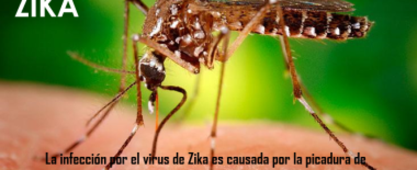 ¿Qué es el virus del Zika?