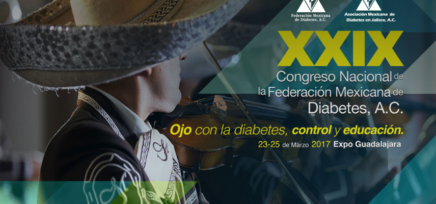 Ponencias del XXIX Congreso FMD