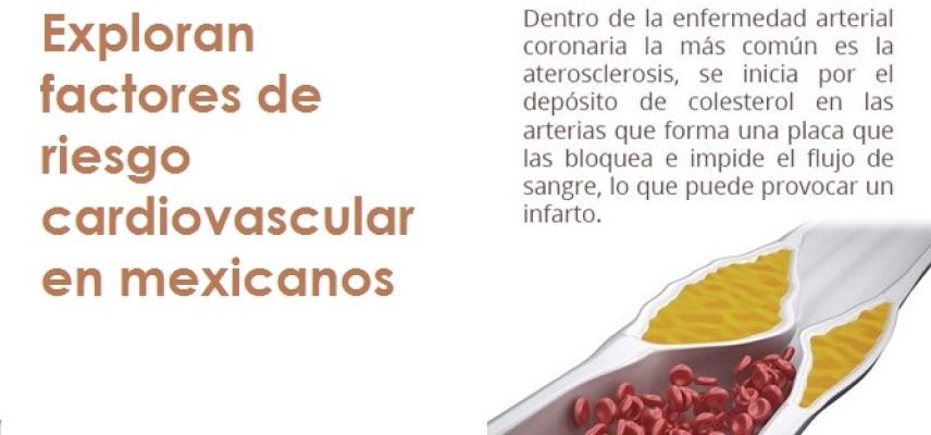 Exploran factores de riesgo cardiovascular en mexicanos