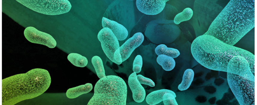 Recomendaciones para prevenir enfermedades gastrointestinales, en temporada de calor