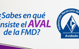 ¿Sabes en qué consiste el aval de la FMD?