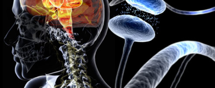 Parkinson afecta a personas en etapas productivas