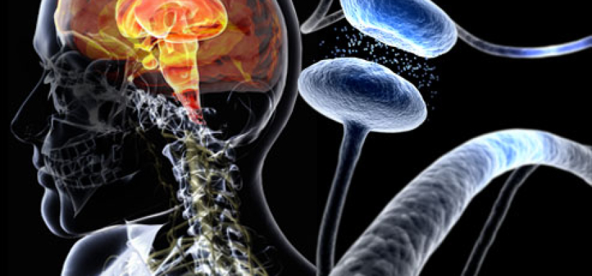 Parkinson afecta a personas en etapas productivas