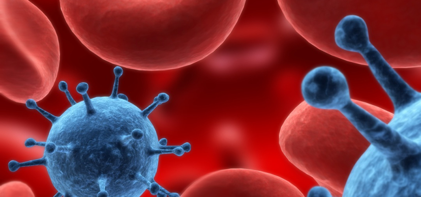 Cáncer y el microambiente tumoral