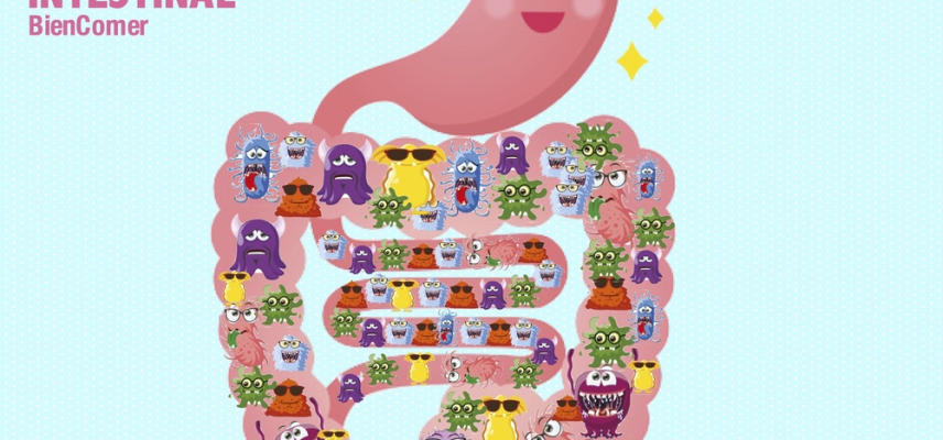 Seis curiosidades acerca de la microbiota intestinal que tú y tu familia deben conocer