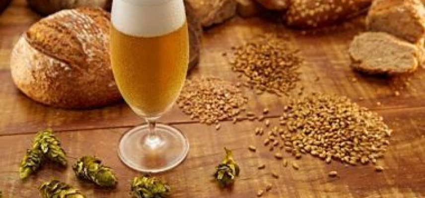 Dieta mediterránea,  la mejor forma de comenzar el año