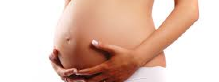 La secretaria de salud refuerza la información para un embarazo saludable