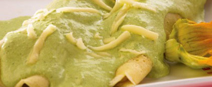 Enchiladas verdes de Flor de Calabaza