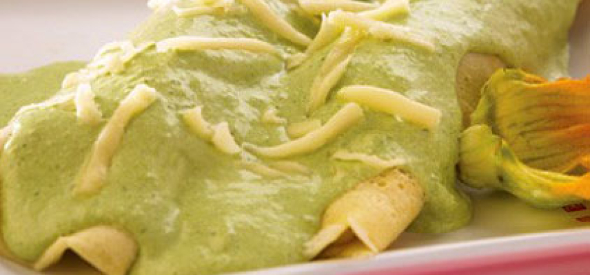 Enchiladas verdes de Flor de Calabaza