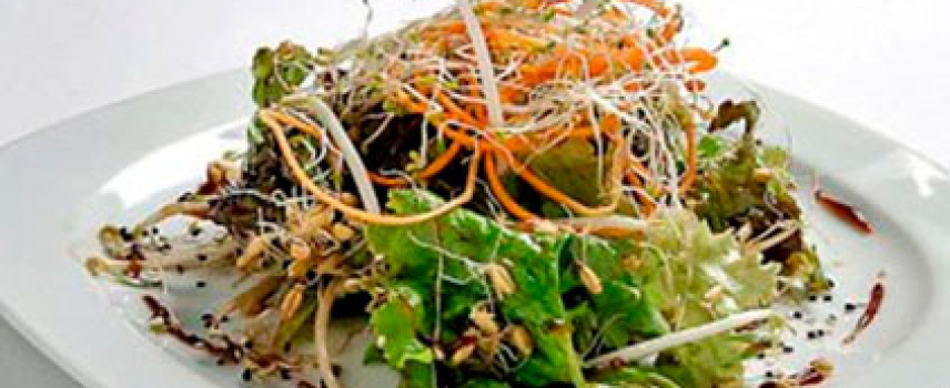 Ensalada de germen de alfalfa y vinagreta de chamoy