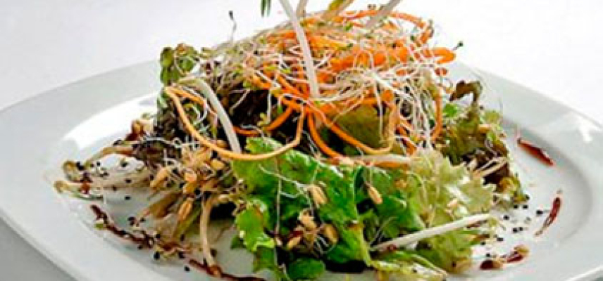 Ensalada de germen de alfalfa y vinagreta de chamoy