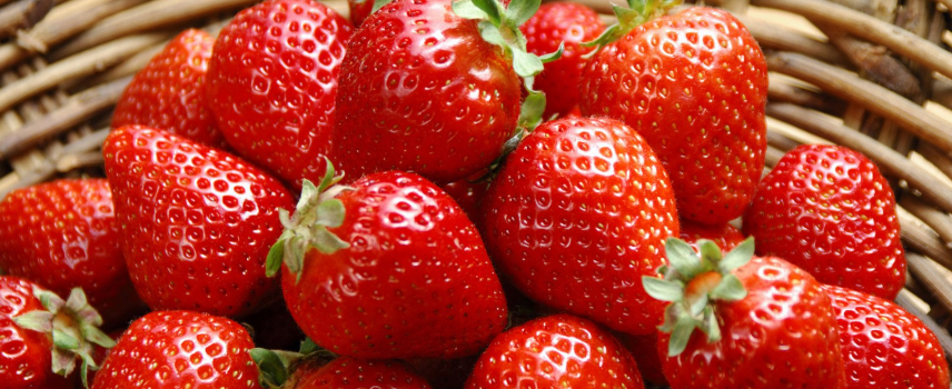 Consumo de fresas para reducir riesgos de diabetes tipo 2