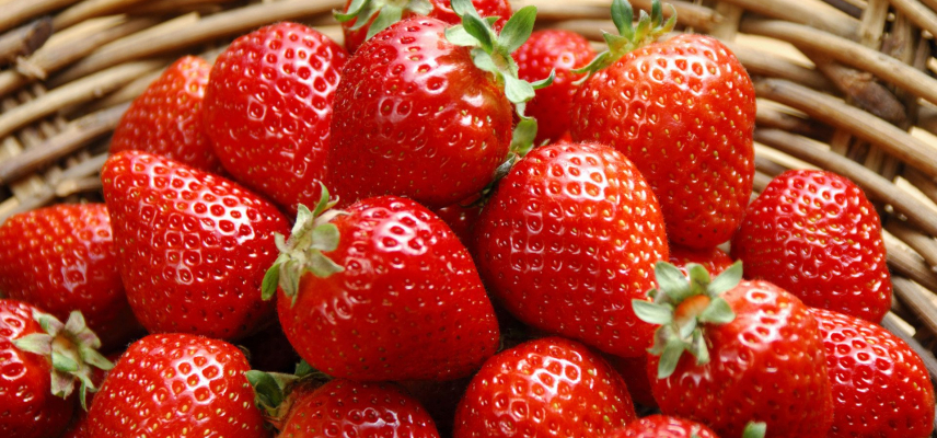 Consumo de fresas para reducir riesgos de diabetes tipo 2