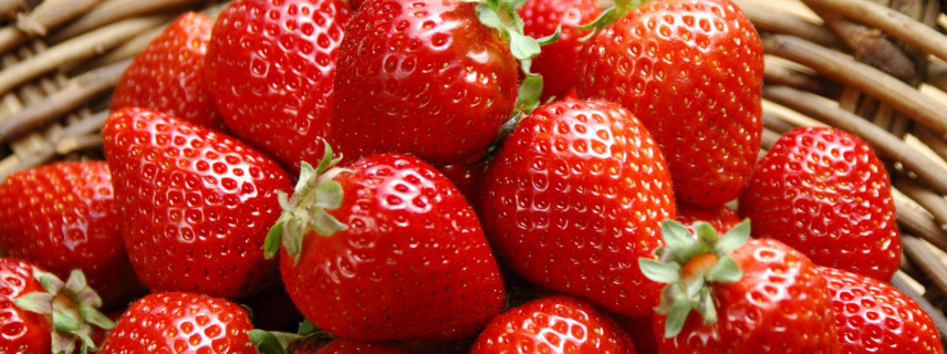 Consumo de fresas para reducir riesgos de diabetes tipo 2