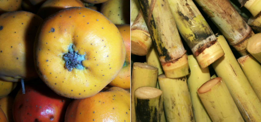 Valor nutrimental de las frutas para estas fiestas decembrinas