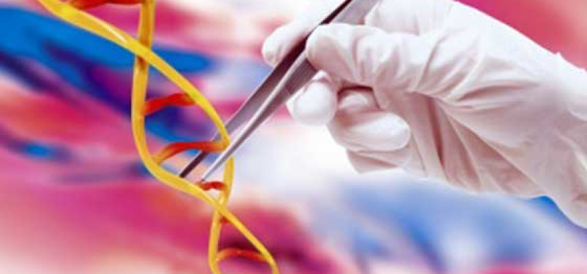 Tamizarán 80.000 muestras en busca de rasgos genéticos en enfermedades cardiovasculares y diabetes