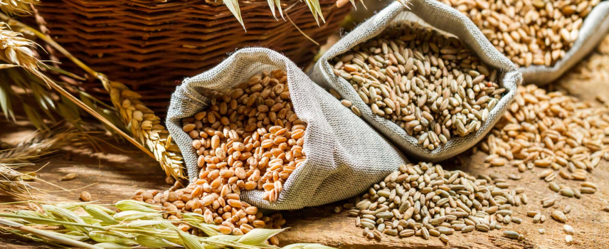 Comer granos integrales para una vida más larga
